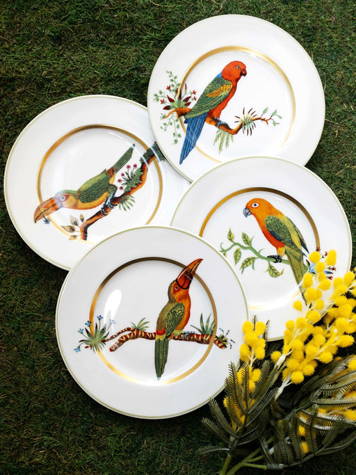 Haviland Alain Thomas Toucan Facing Left Bread and Butter Plate