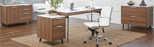 Euro Style 2 Drawer File Cabinet