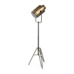 Mercana Debdou Gold Metal Adjustable Cinema-Style Floor Lamp Clearance