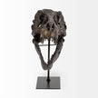 Mercana Jurassic Brown Resin Tyrannosaurus Skull Replica