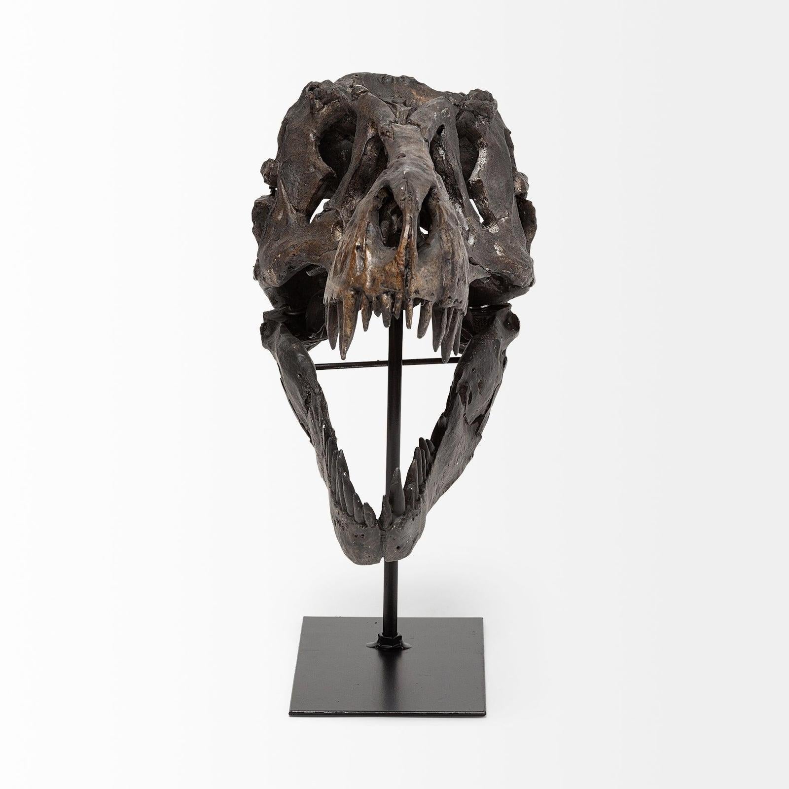 Mercana Jurassic Brown Resin Tyrannosaurus Skull Replica