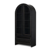 Mercana Gehry Dark Brown Metal Brown Wood and Glass Door Display Cabinet
