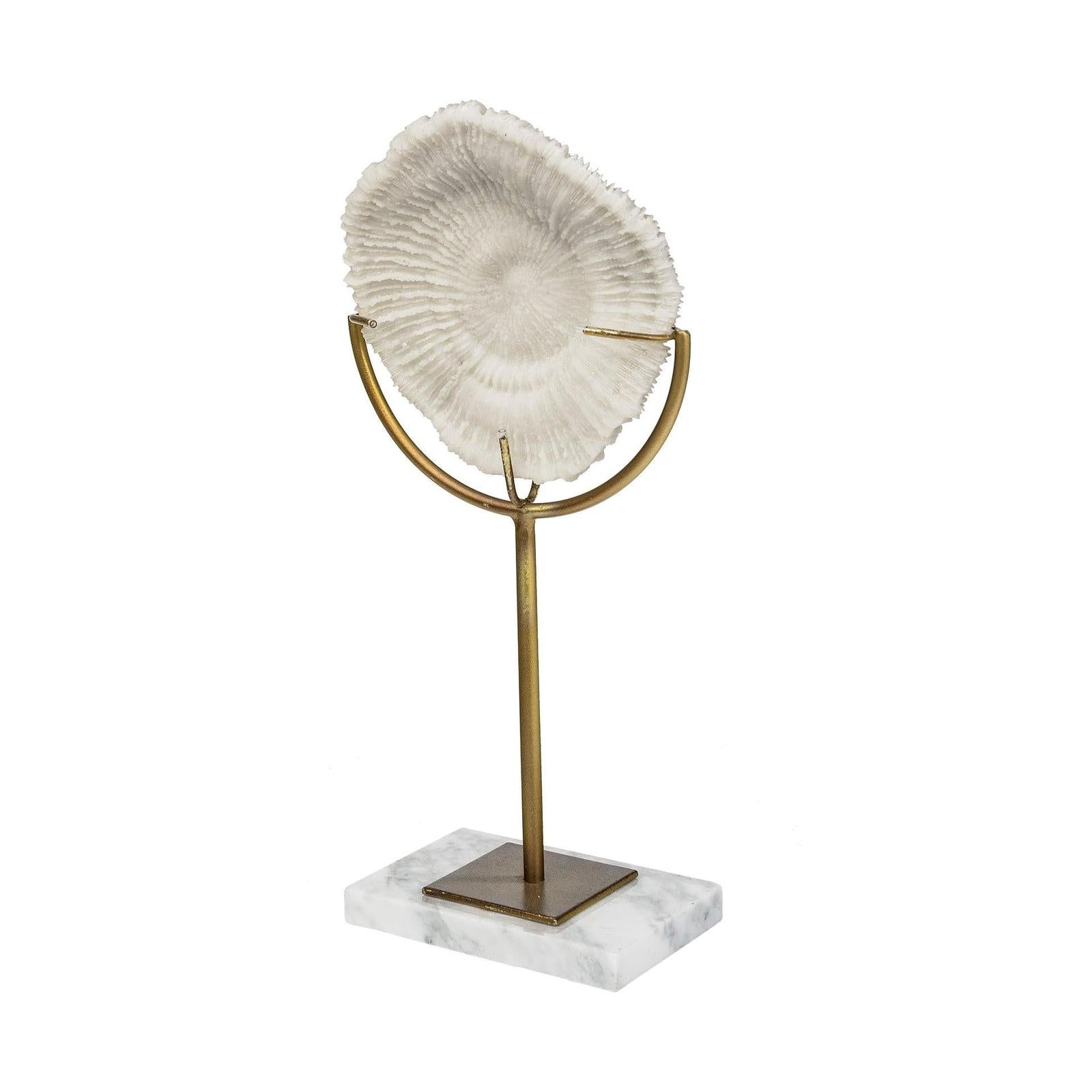 Mercana Sandy White Coastal Sand Dollar Object