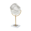 Mercana Sandy White Coastal Sand Dollar Object