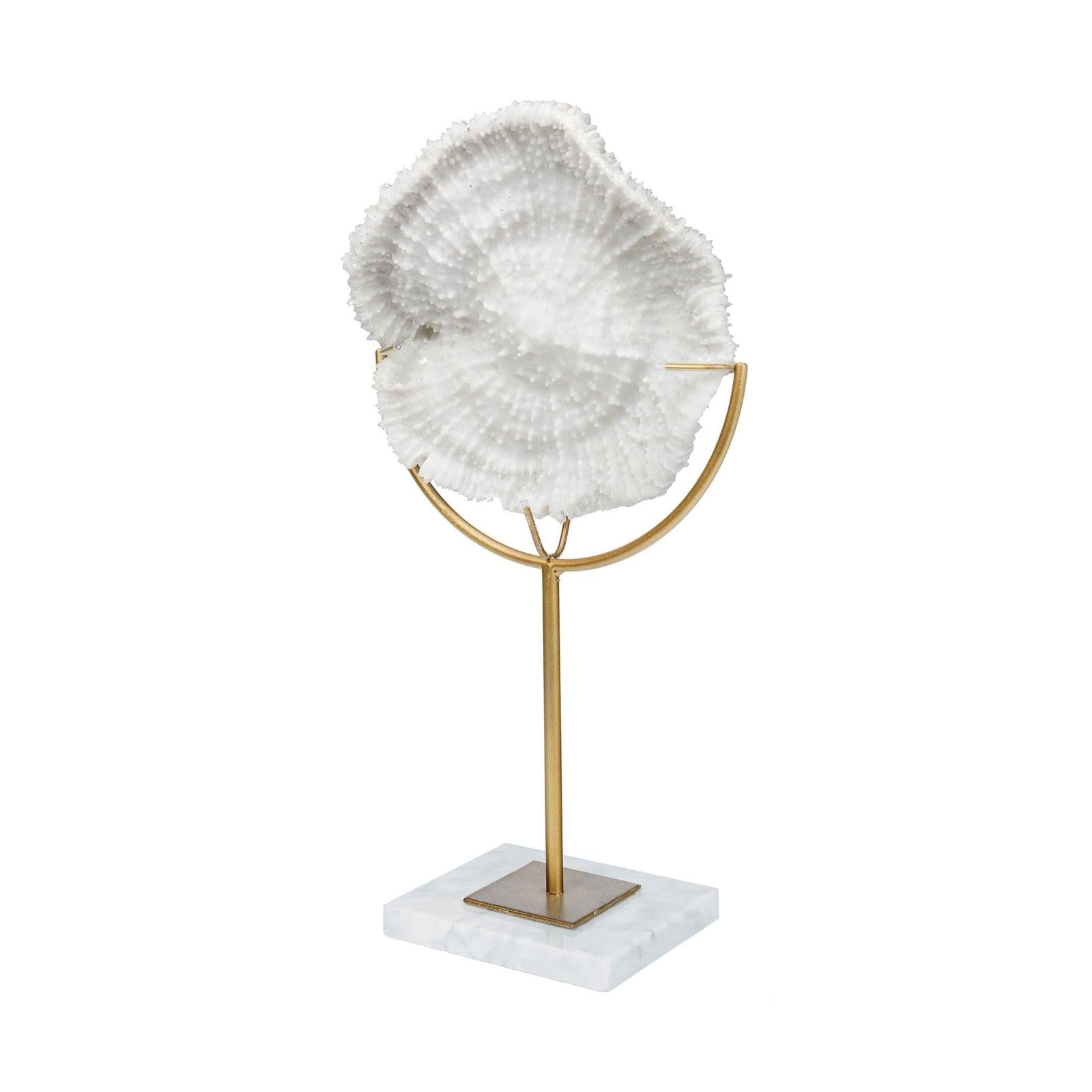 Mercana Sandy White Coastal Sand Dollar Object