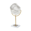 Mercana Sandy White Coastal Sand Dollar Object