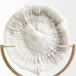 Mercana Sandy White Coastal Sand Dollar Object