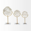 Mercana Sandy White Coastal Sand Dollar Object