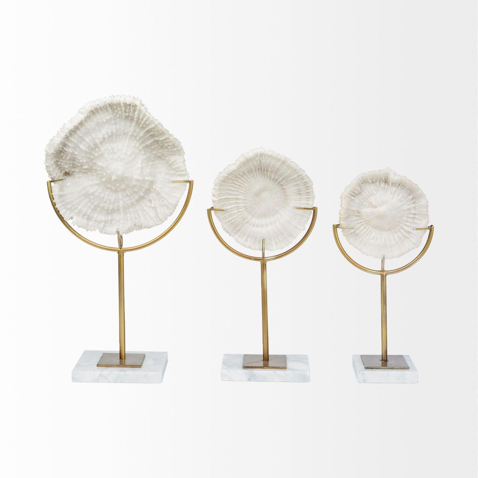 Mercana Sandy White Coastal Sand Dollar Object