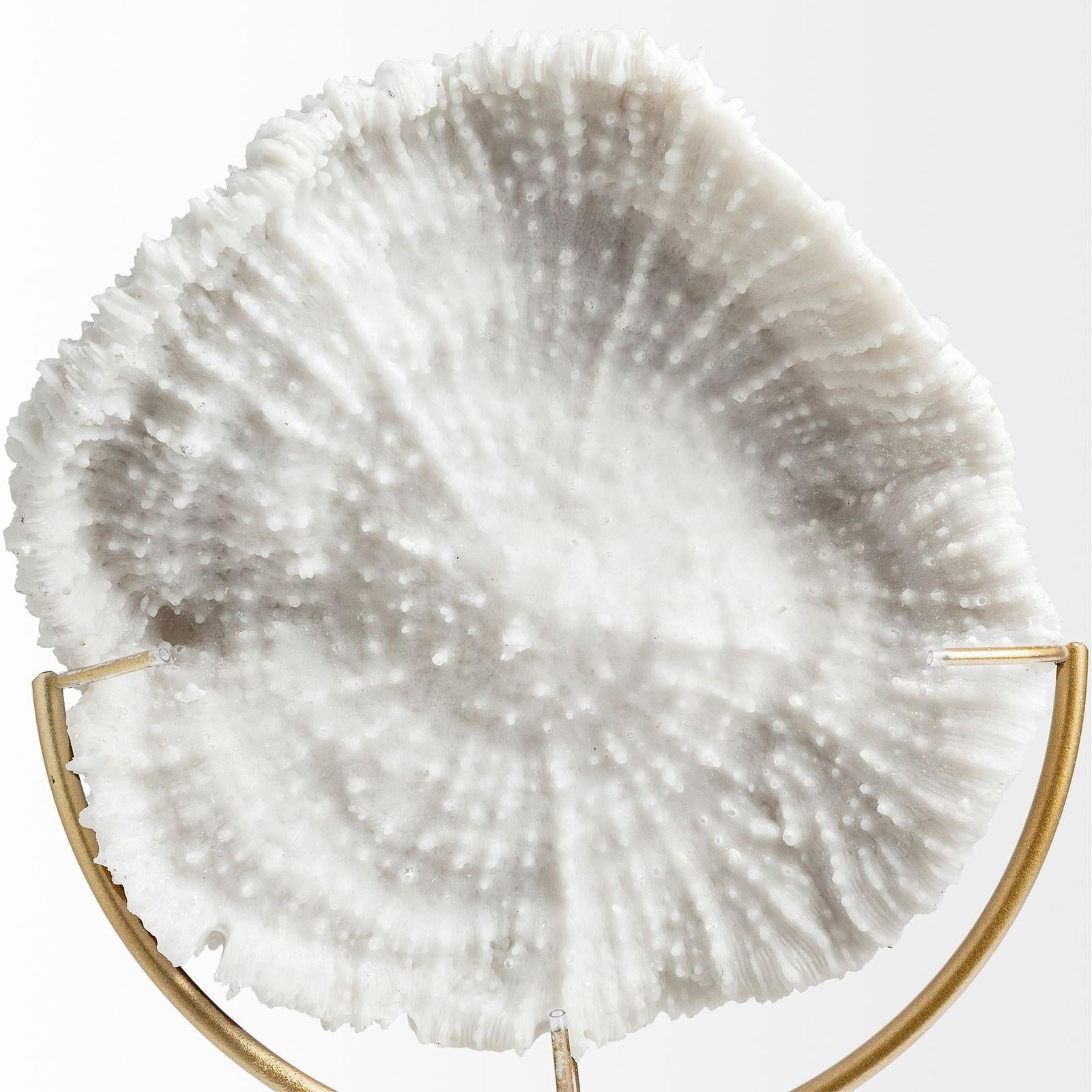 Mercana Sandy White Coastal Sand Dollar Object