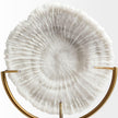 Mercana Sandy White Coastal Sand Dollar Object
