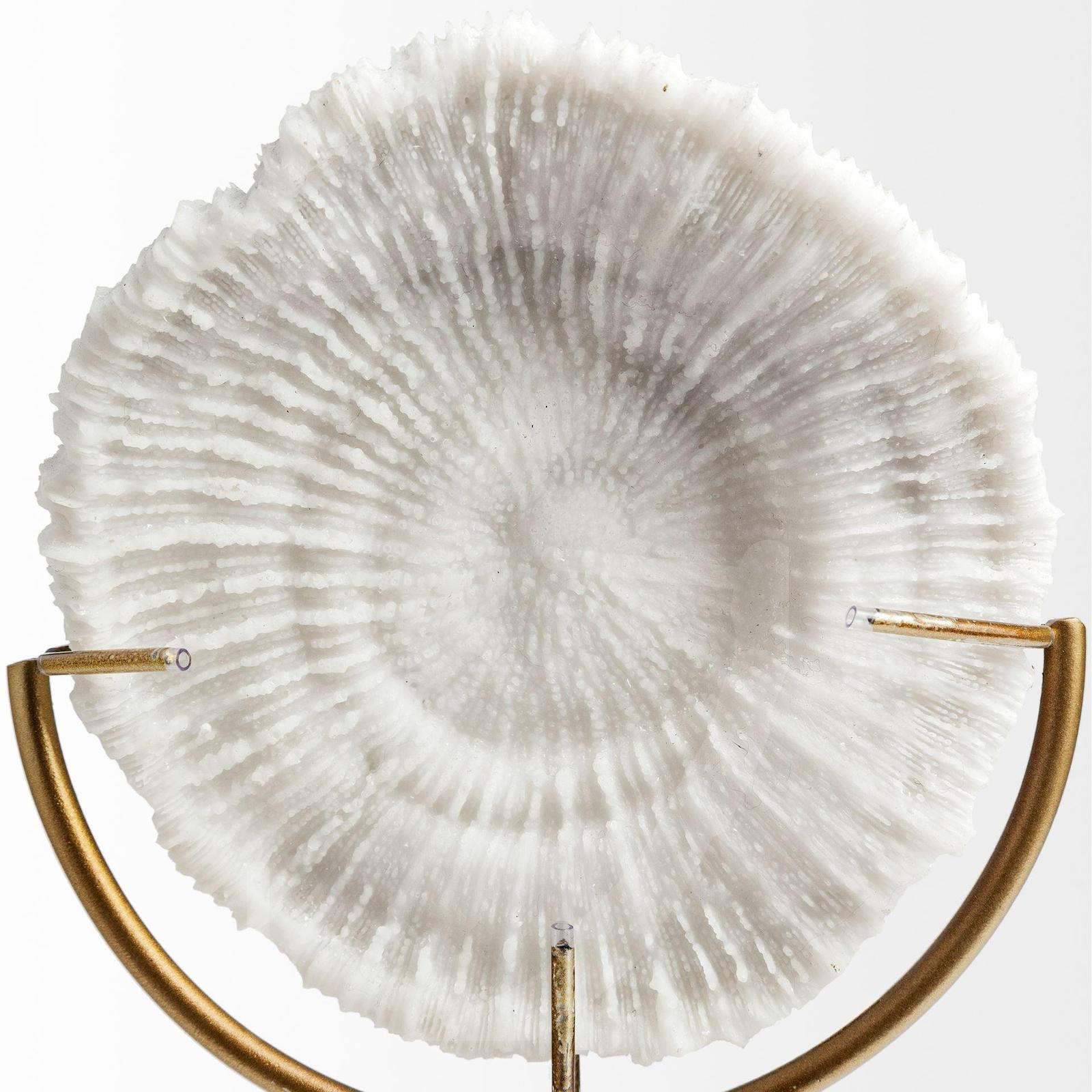 Mercana Sandy White Coastal Sand Dollar Object