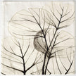 Mercana Edge of Twilight Leaf Pattern Decorative Pillow Cover
