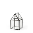 Mercana Sikes Glass Terrarium