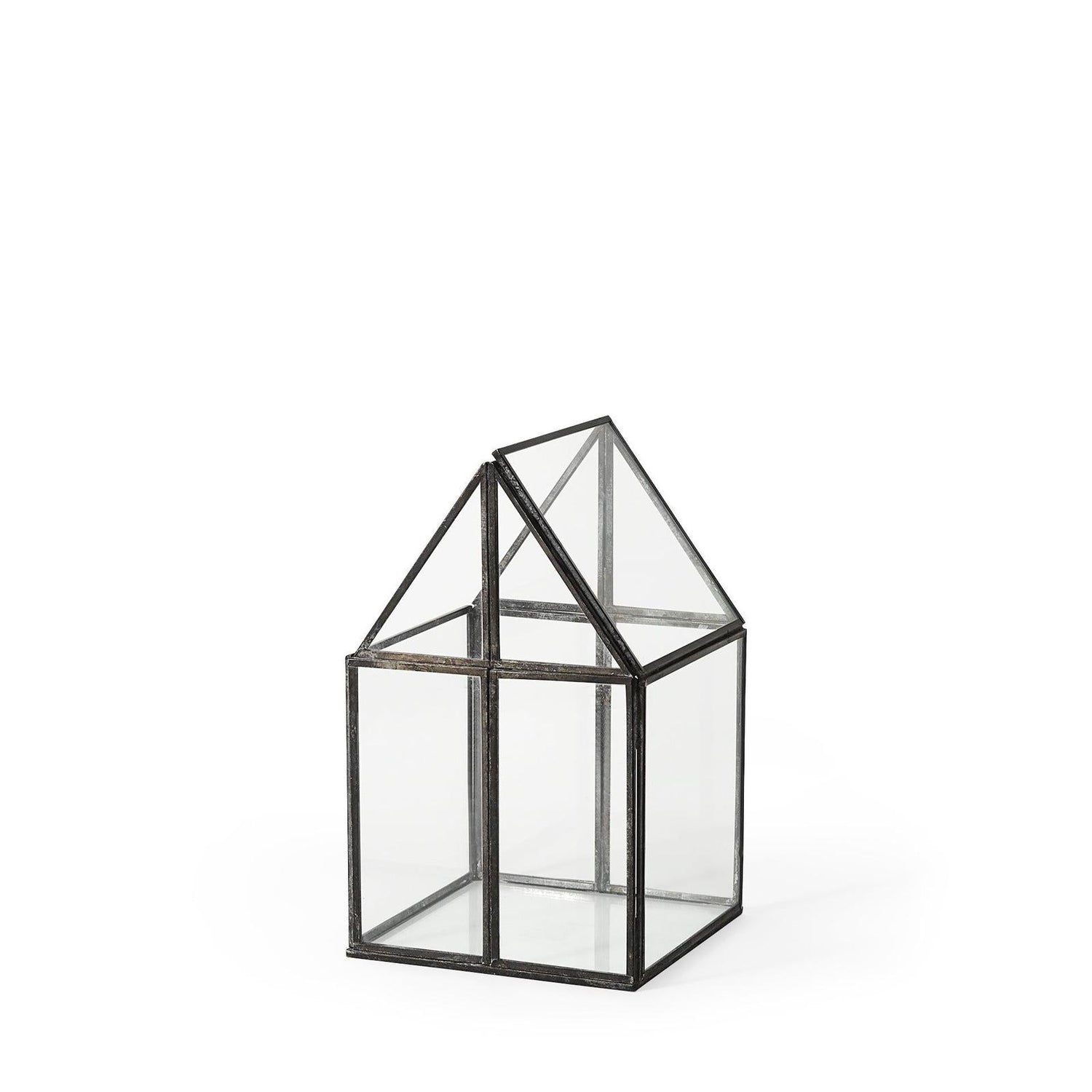 Mercana Sikes Glass Terrarium