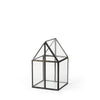 Mercana Sikes Glass Terrarium