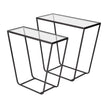 Mercana Arya Black Rectangular Glass Top Iron Frame Accent Table- Set of 2