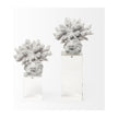 Mercana Isla White Replica Resin Coral On Clear White Glass Clearance