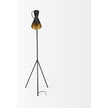 Mercana Eris Black/Brass Metal Cone Shade Floor Lamp