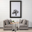Mercana Valence Sectional Components