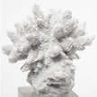 Mercana Isla White Replica Resin Coral On Clear White Glass Clearance