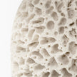 Mercana Mariam Cream Coral-Inspired Base Table Lamp