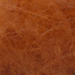Mercana Hornet Leather Metal Frame Accent Chair