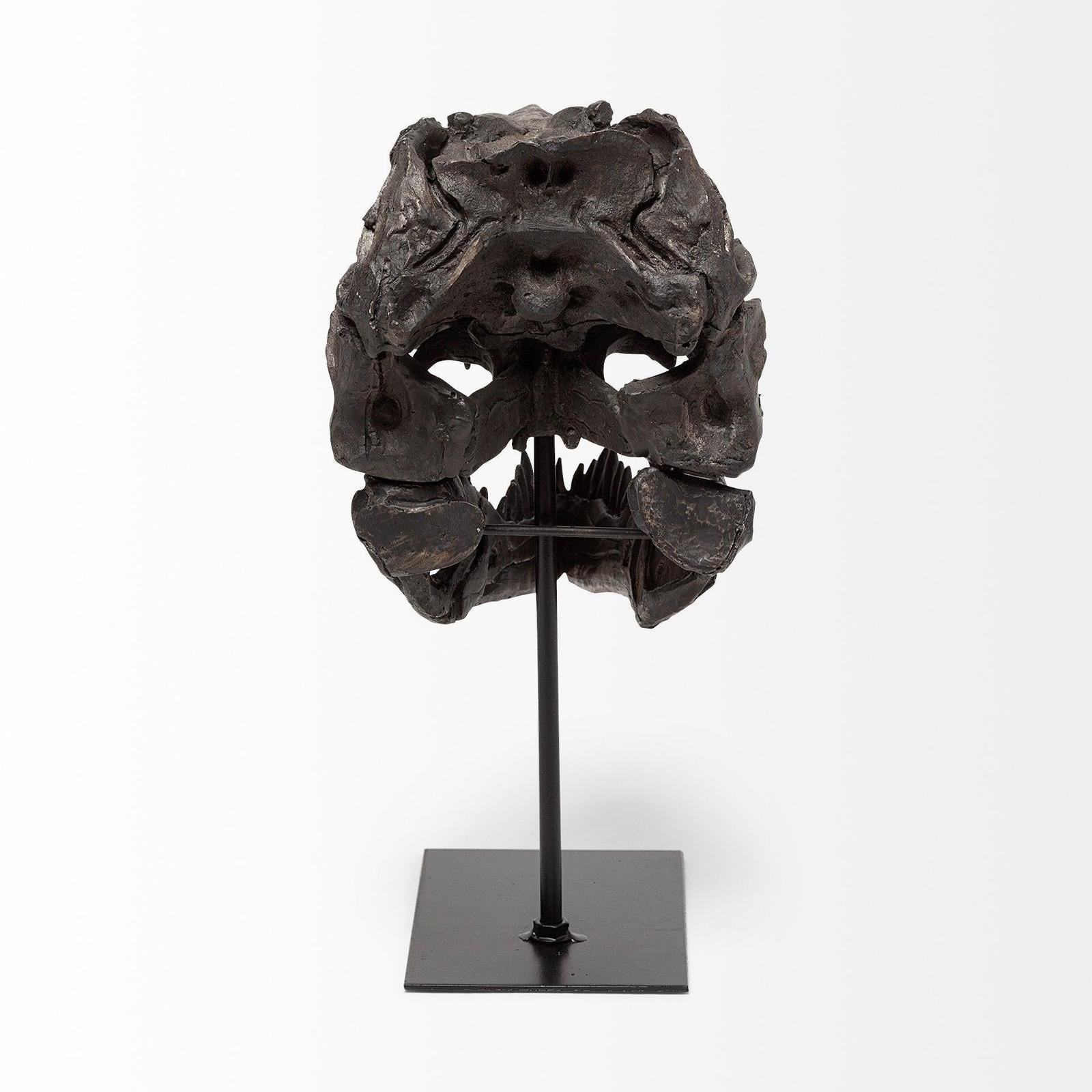 Mercana Jurassic Brown Resin Tyrannosaurus Skull Replica