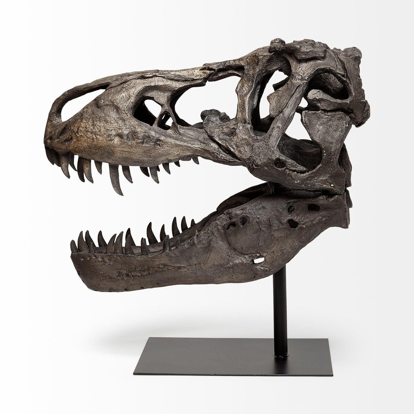 Mercana Lagrane Brown Resin Tyrannosaurus T Rex Dinosaur Skull Replica
