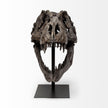 Mercana Lagrane Brown Resin Tyrannosaurus T Rex Dinosaur Skull Replica