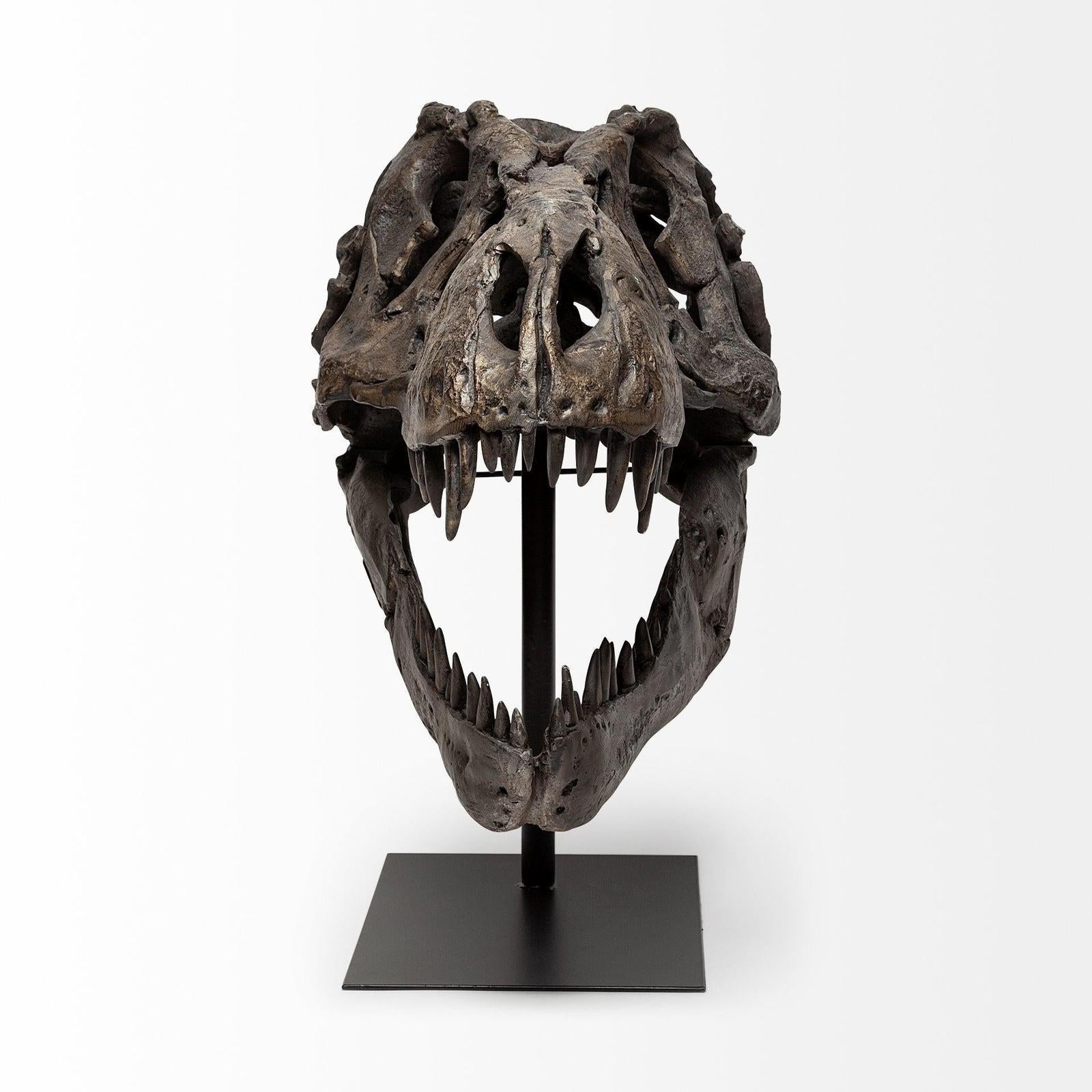 Mercana Lagrane Brown Resin Tyrannosaurus T Rex Dinosaur Skull Replica