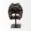 Mercana Lagrane Brown Resin Tyrannosaurus T Rex Dinosaur Skull Replica