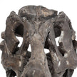 Mercana Jurassic Brown Resin Tyrannosaurus Skull Replica