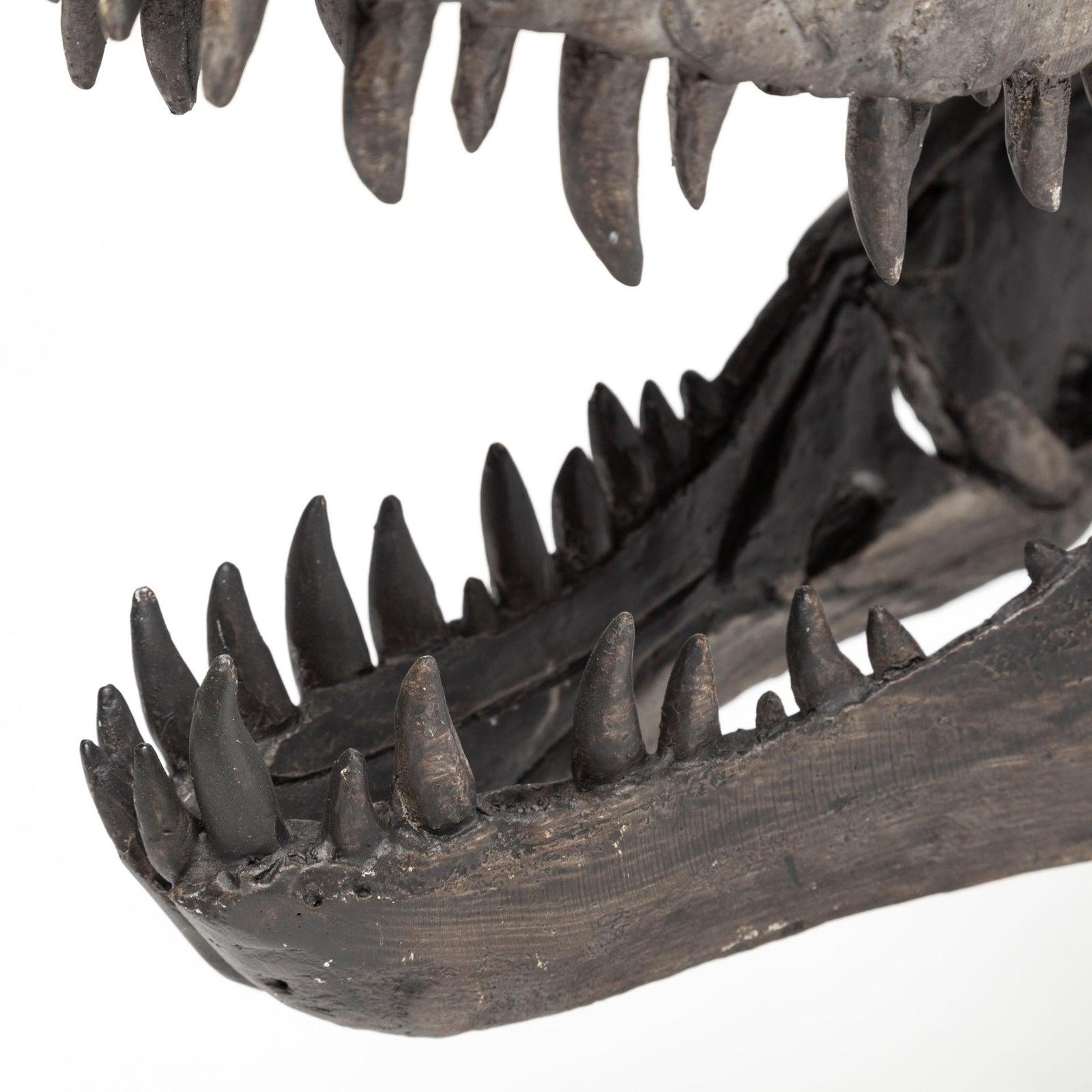 Mercana Jurassic Brown Resin Tyrannosaurus Skull Replica
