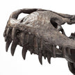 Mercana Jurassic Brown Resin Tyrannosaurus Skull Replica