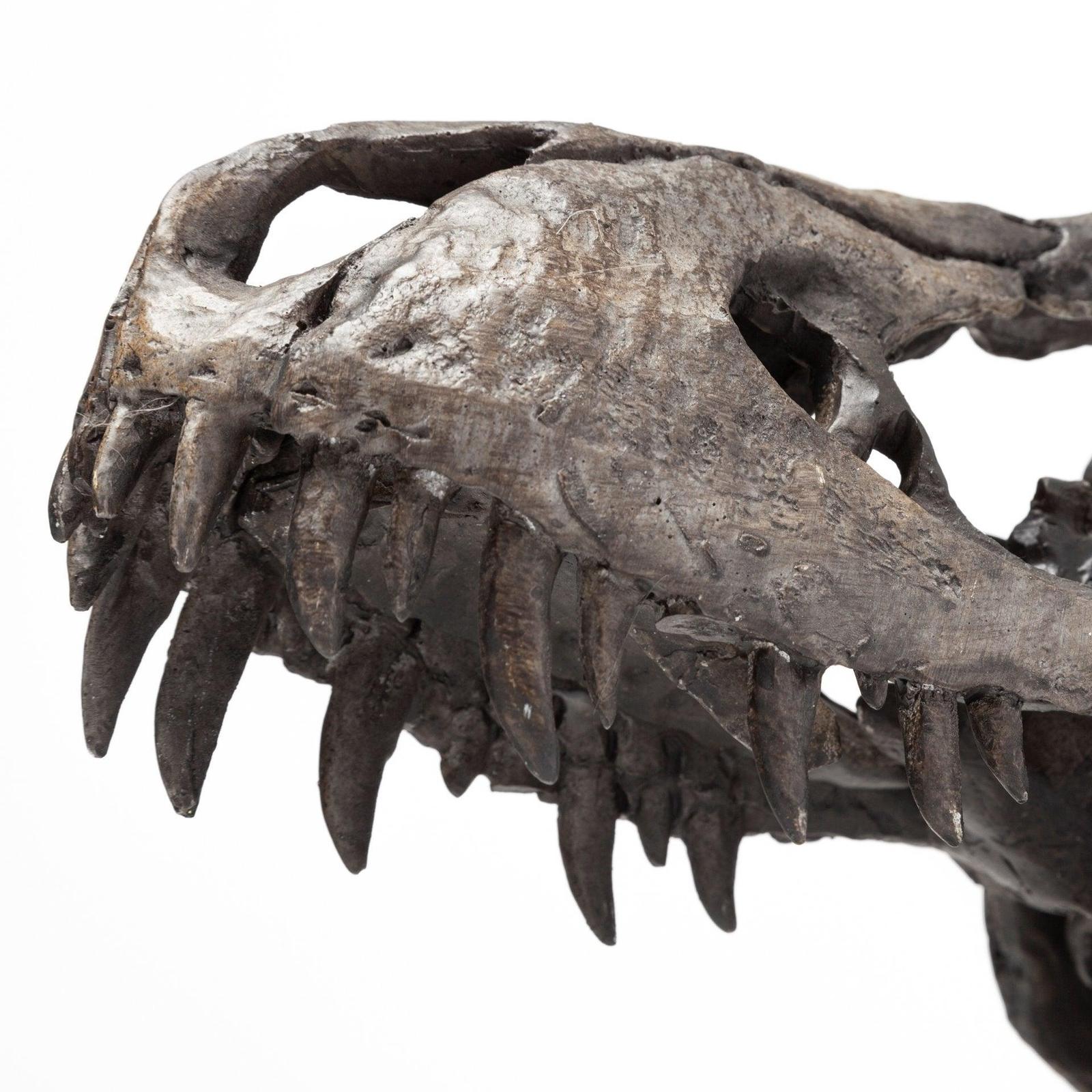 Mercana Jurassic Brown Resin Tyrannosaurus Skull Replica