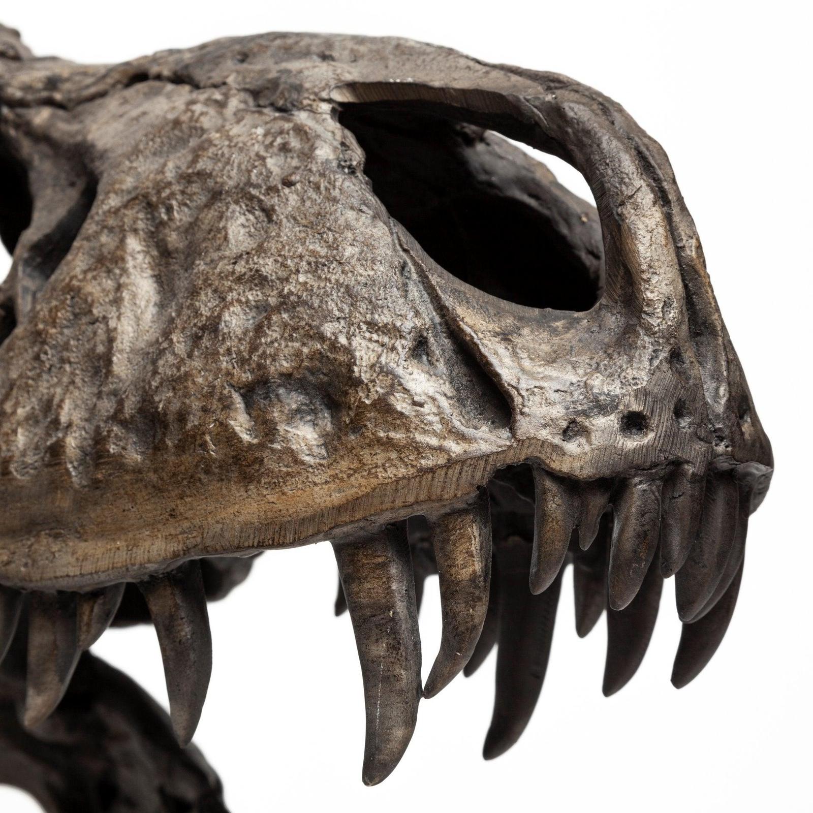 Mercana Lagrane Brown Resin Tyrannosaurus T Rex Dinosaur Skull Replica