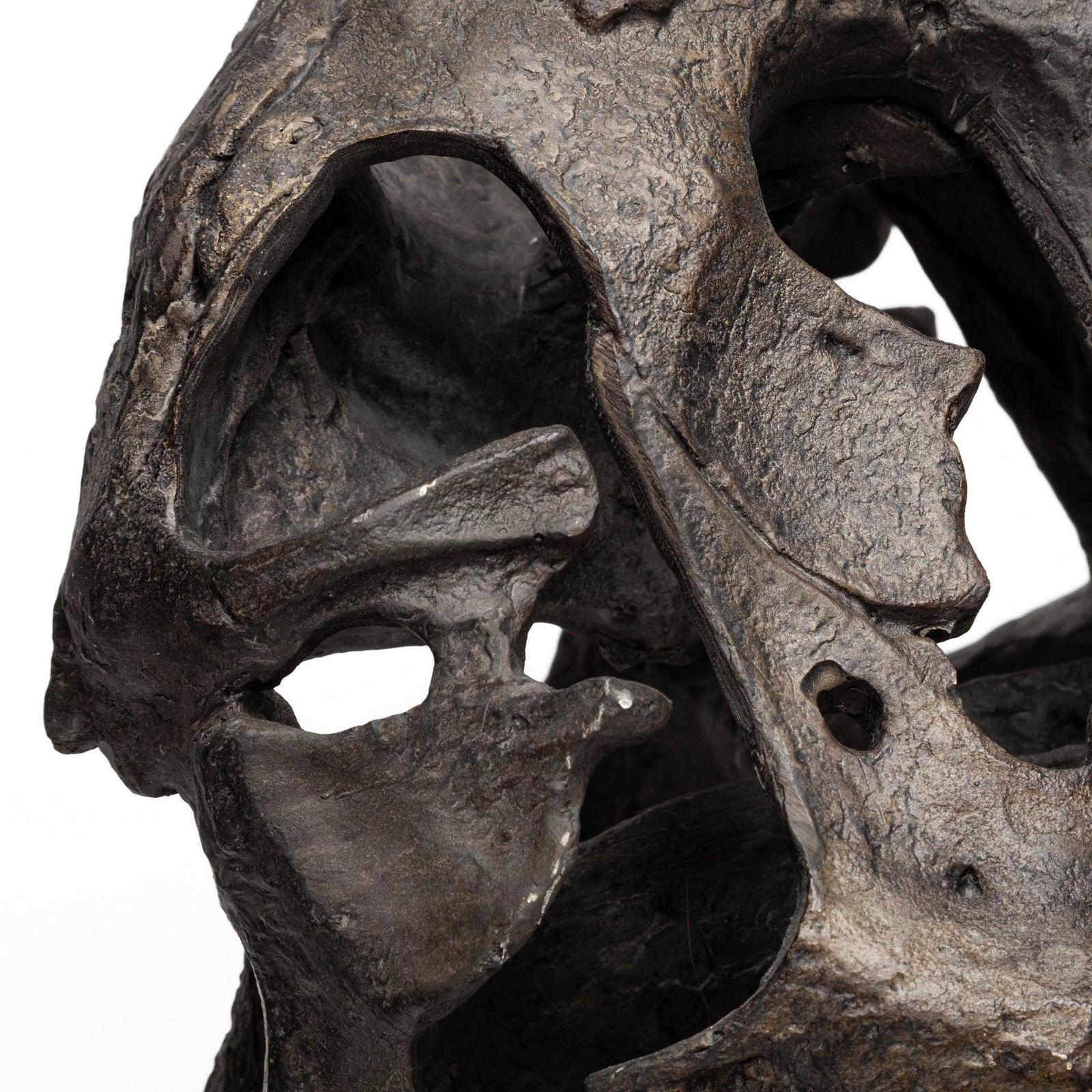 Mercana Lagrane Brown Resin Tyrannosaurus T Rex Dinosaur Skull Replica