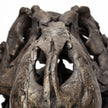 Mercana Lagrane Brown Resin Tyrannosaurus T Rex Dinosaur Skull Replica
