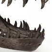 Mercana Lagrane Brown Resin Tyrannosaurus T Rex Dinosaur Skull Replica