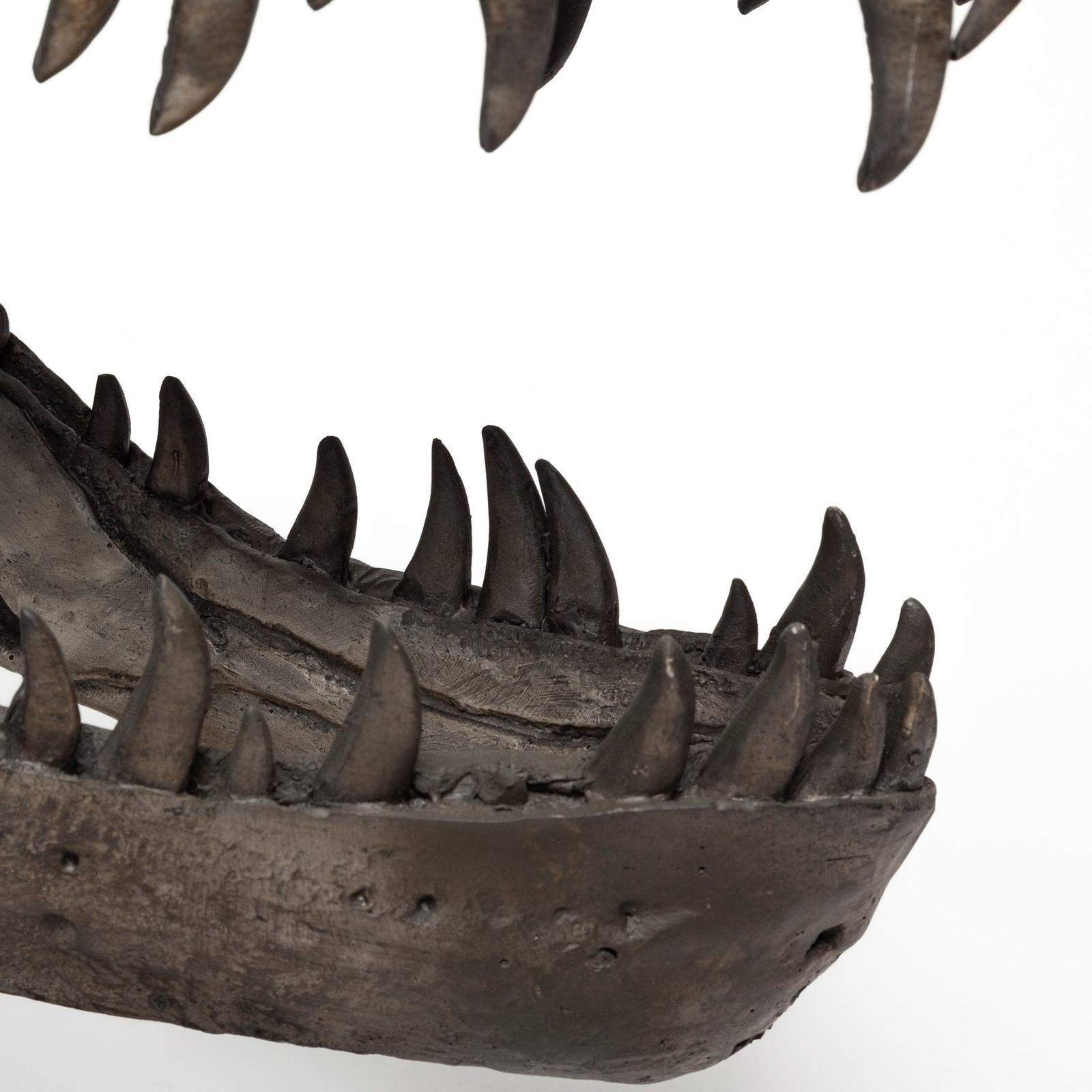 Mercana Lagrane Brown Resin Tyrannosaurus T Rex Dinosaur Skull Replica