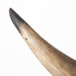 Mercana Nickerson Bull Horn Bookends- Set of 2 Clearance