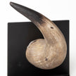 Mercana Nickerson Bull Horn Bookends- Set of 2 Clearance