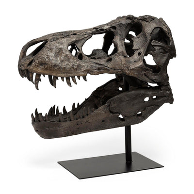 Mercana Lagrane Brown Resin Tyrannosaurus T Rex Dinosaur Skull Replica