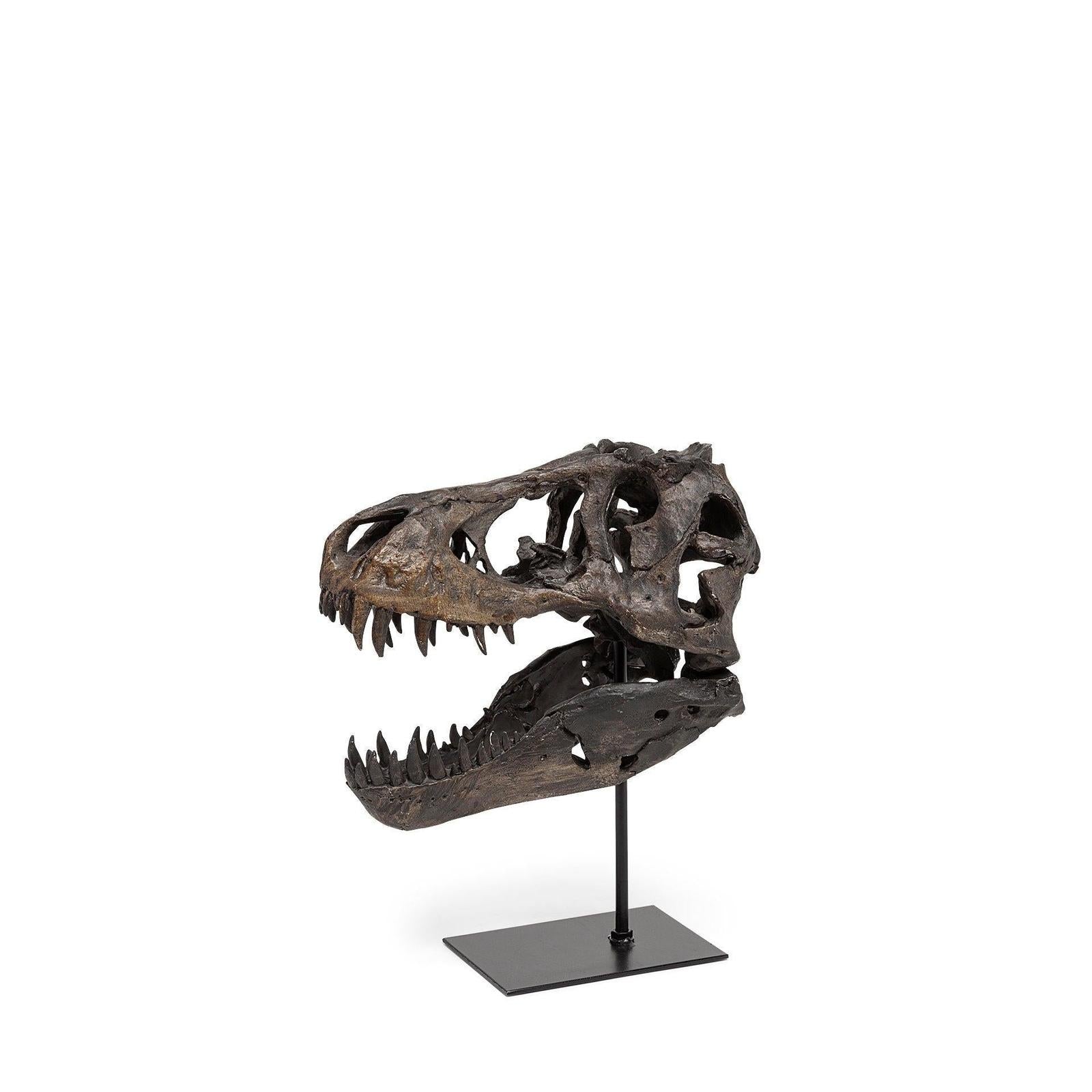 Mercana Jurassic Brown Resin Tyrannosaurus Skull Replica