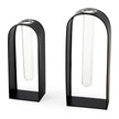 Mercana Boyer Black Metal W/Glass Test Tube Decorative Objects - Set of 2