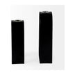 Mercana Boyer Black Metal W/Glass Test Tube Decorative Objects - Set of 2