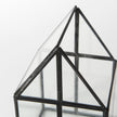 Mercana Sikes Glass Terrarium
