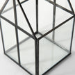 Mercana Sikes Glass Terrarium