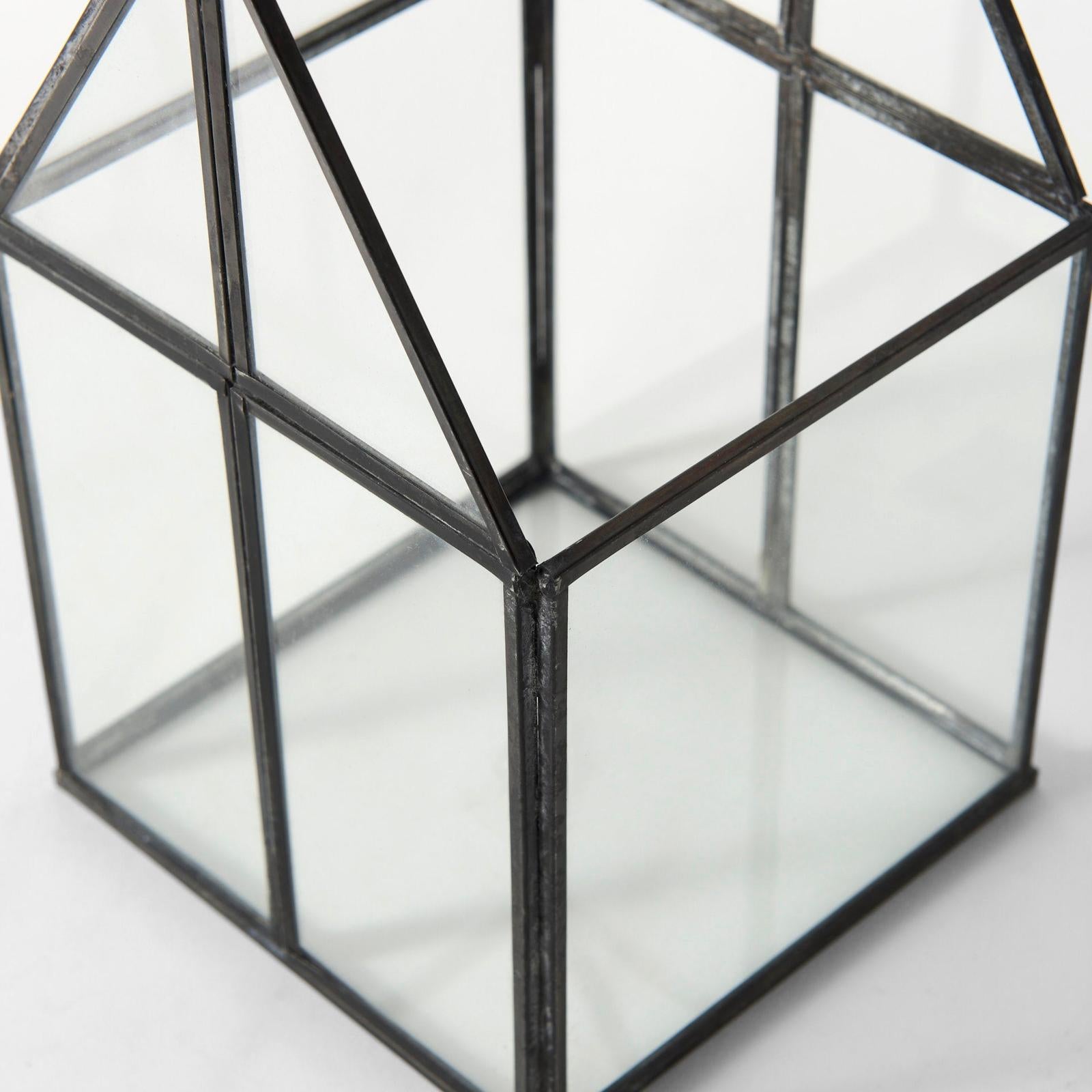 Mercana Sikes Glass Terrarium